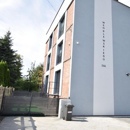Katowice Chorzow Park Stadion Slaski Apartmenty Siemianowice Śląskie Εξωτερικό φωτογραφία